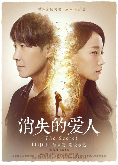 做个假回乡证